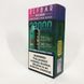 ELF BAR GH 23000 Арбузная жевательная резинка (Watermelon Bubble Gum) gh23000-25 фото 6